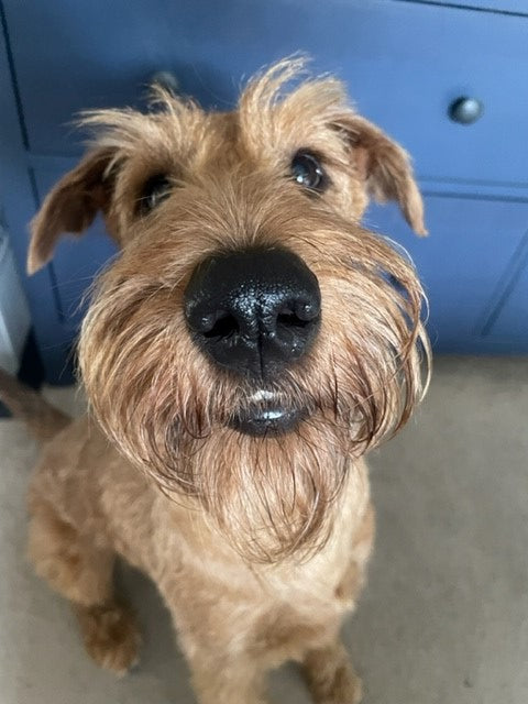 Brian
